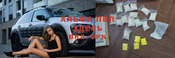 стафф Аркадак