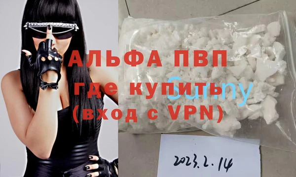 стафф Аркадак